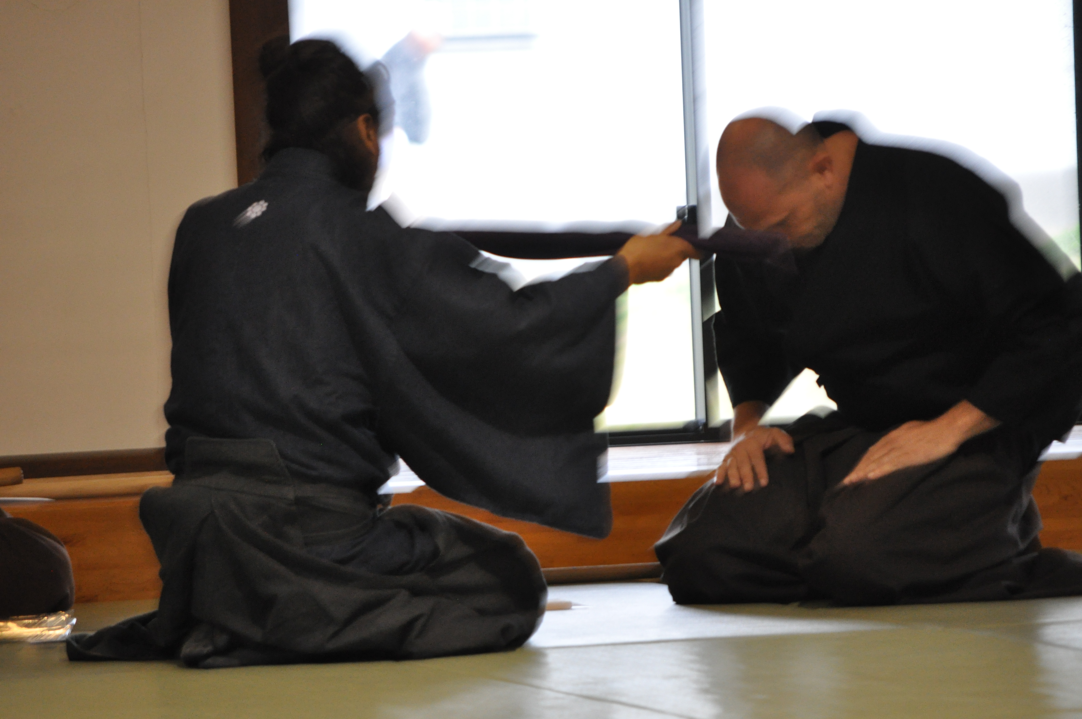 Taisha Ryu Kumamoto trip Spring 2017 part 1 – Taisha-ryu Kenjutsu study group ...
